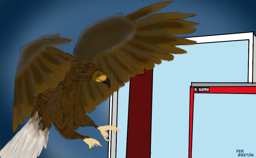 la pluma