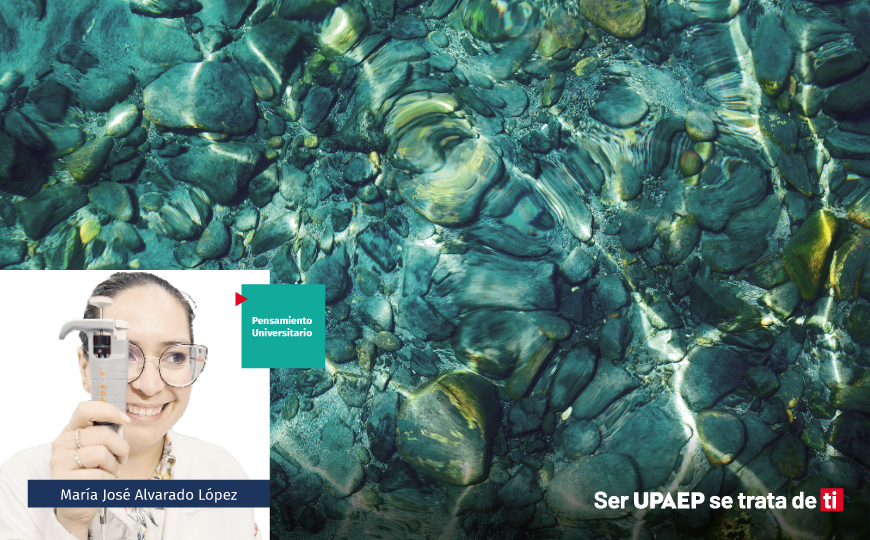 Fluir está sobrevalorado, incluso para el agua