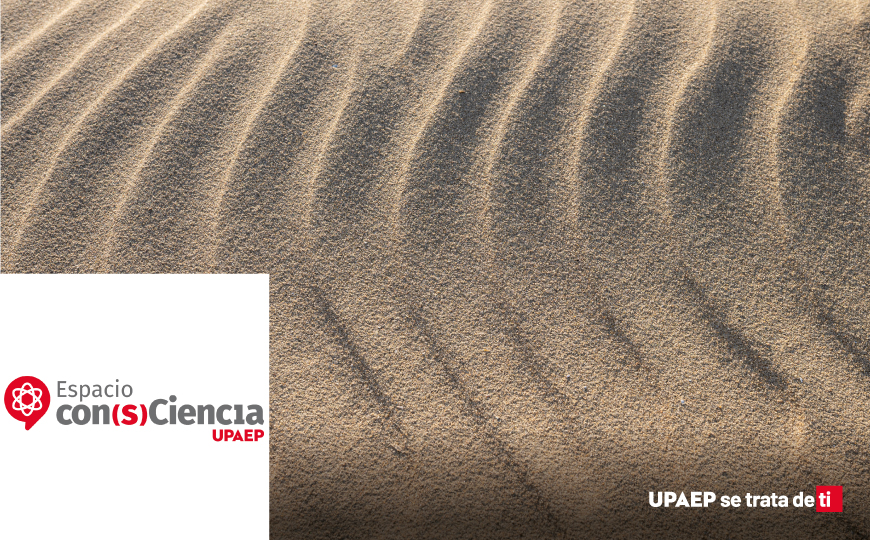 Espacio con(s)Ciencia: Nadando bajo la arena