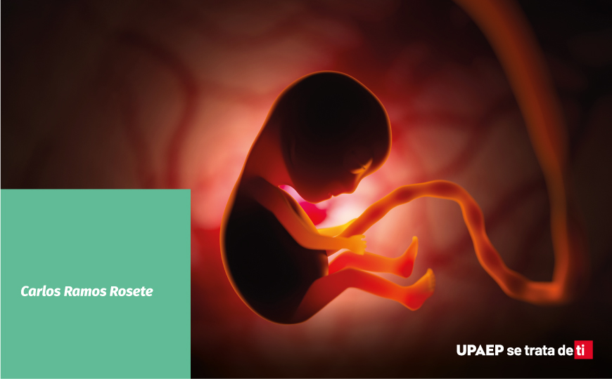 El valor del embrión humano a la luz de la instrucción donum vitae y sus implicaciones biofilosóficas 