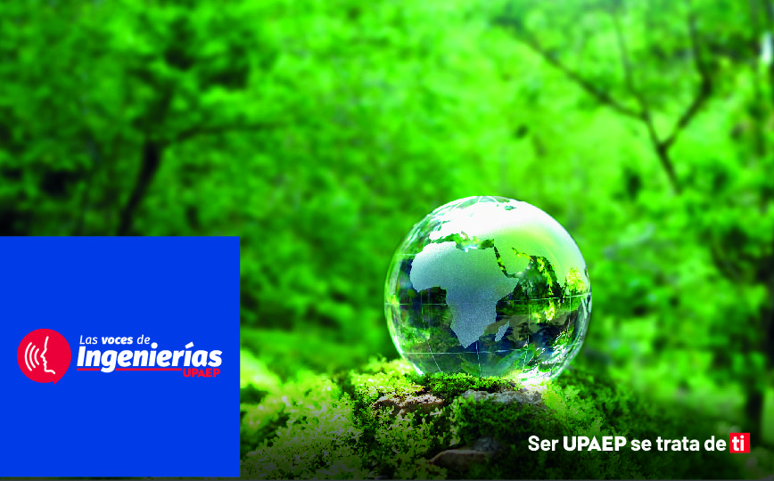 Plásticos en transición, ¿dónde están hoy las palancas de la sostenibilidad?